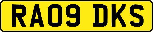 RA09DKS