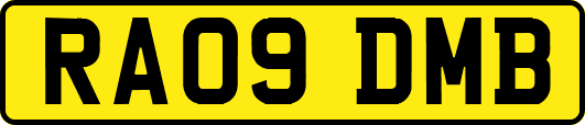 RA09DMB