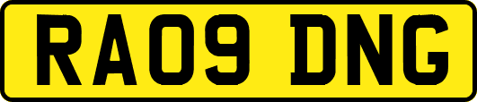 RA09DNG