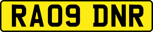 RA09DNR