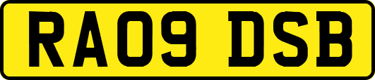 RA09DSB