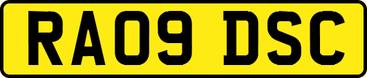 RA09DSC