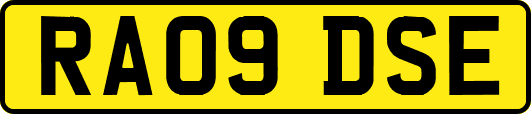 RA09DSE