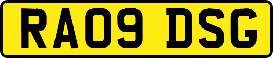 RA09DSG