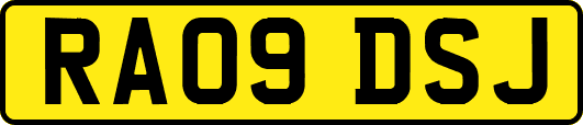RA09DSJ