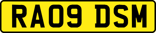 RA09DSM