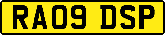 RA09DSP