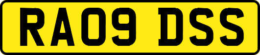 RA09DSS