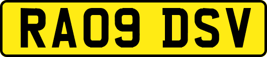 RA09DSV