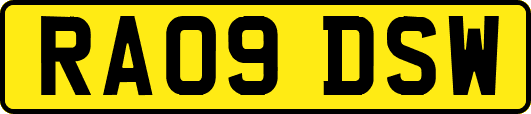 RA09DSW