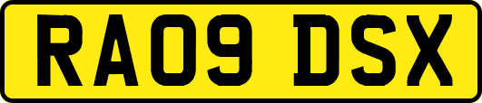 RA09DSX
