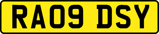 RA09DSY