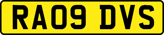 RA09DVS