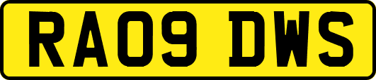 RA09DWS