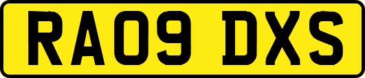 RA09DXS