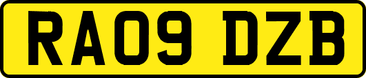 RA09DZB