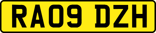 RA09DZH