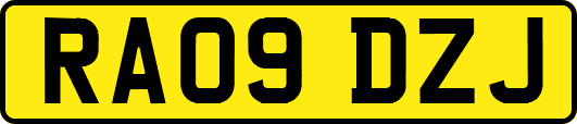 RA09DZJ