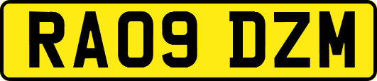 RA09DZM