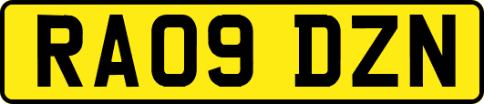 RA09DZN