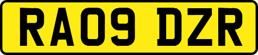 RA09DZR