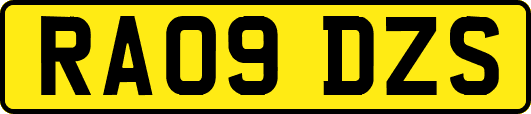 RA09DZS