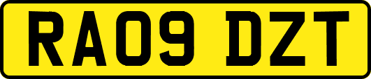 RA09DZT