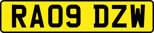 RA09DZW