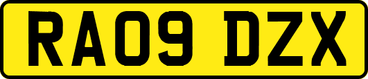 RA09DZX
