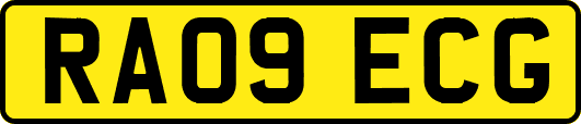 RA09ECG