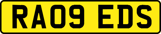 RA09EDS