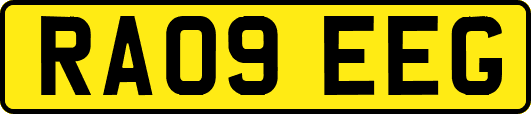 RA09EEG