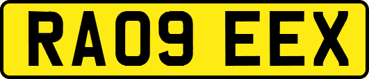 RA09EEX