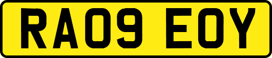 RA09EOY