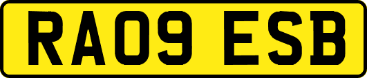 RA09ESB