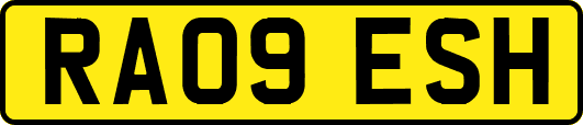 RA09ESH