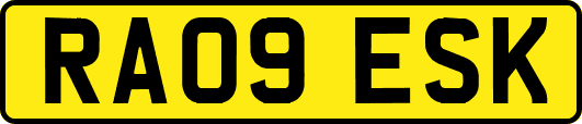 RA09ESK