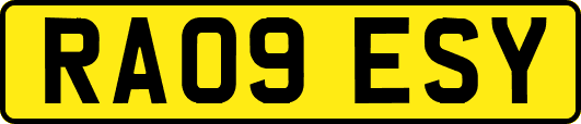 RA09ESY