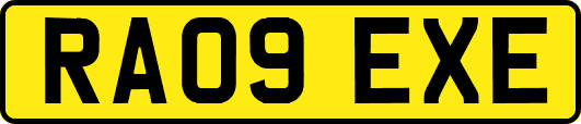 RA09EXE