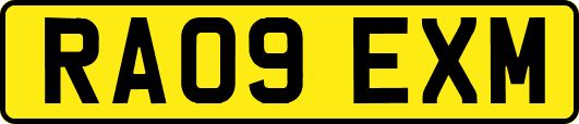RA09EXM