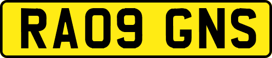 RA09GNS