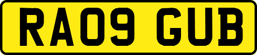 RA09GUB