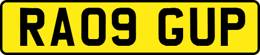 RA09GUP