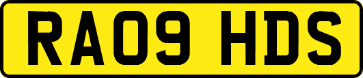 RA09HDS