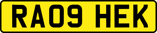 RA09HEK