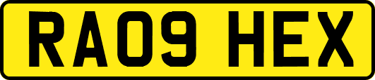 RA09HEX