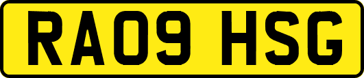 RA09HSG