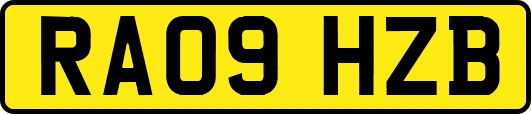 RA09HZB