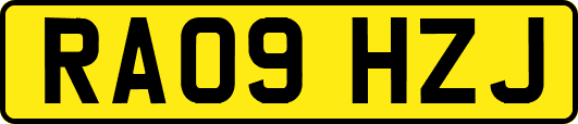 RA09HZJ