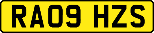 RA09HZS